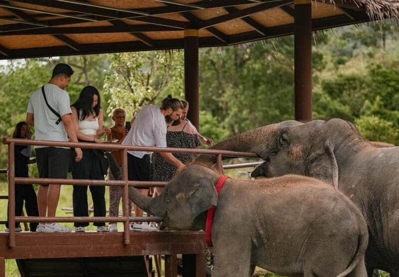Samui: Ethical Elephants Sanctuary and Coconut Experience - FAQ