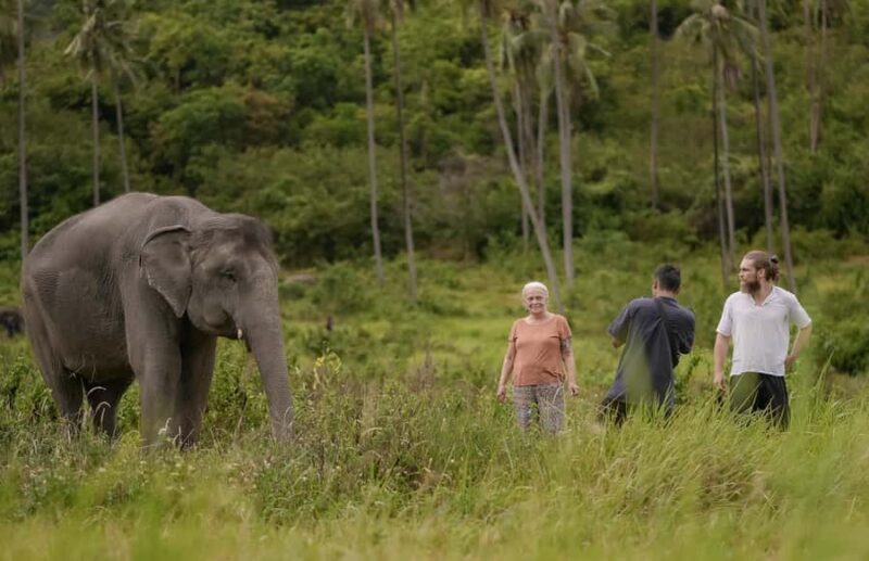 Samui: Ethical Elephants Sanctuary and Coconut Experience - Frequently Asked Questions
