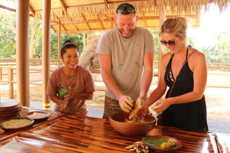 Samui: Feeding Program at the Elephant Home Nursery - Key Points