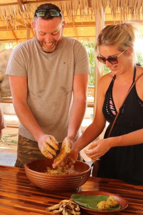 Samui: Feeding Program at the Elephant Home Nursery - Experience Highlights