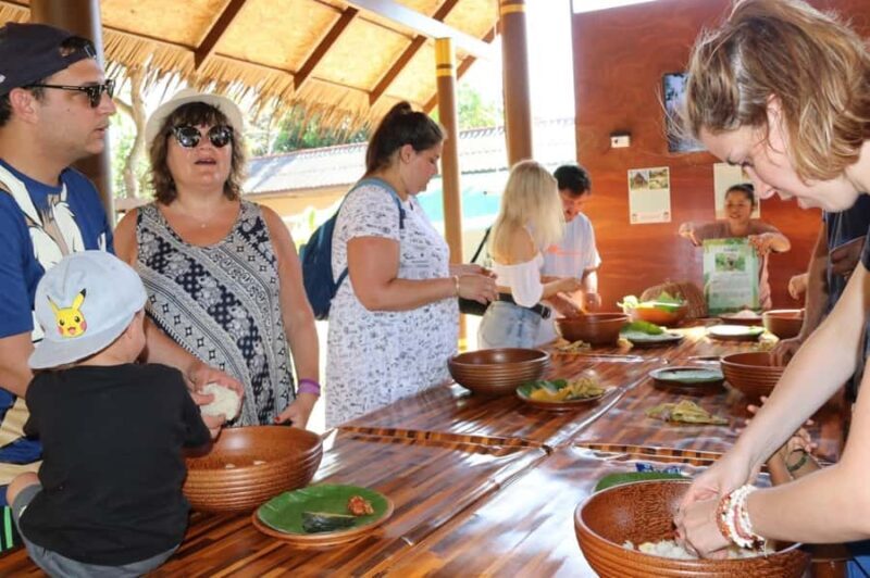 Samui: Feeding Program at the Elephant Home Nursery - The Journey in Detail