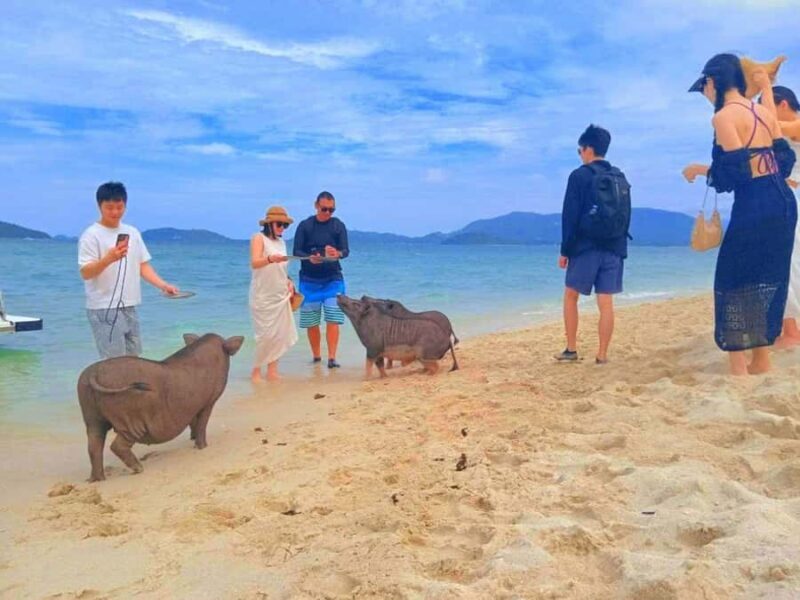 Samui: Golden Trio Islands Tour by Speedboat Group Tour - Final Thoughts: Who Will Love This Tour?  