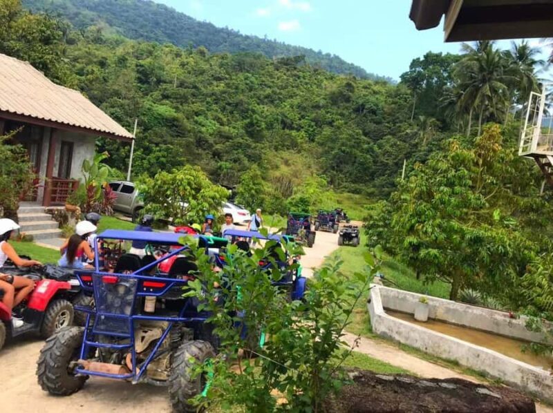 Samui: Jungle 4WD Buggy Experience with Mountain-view Lunch - Good To Know