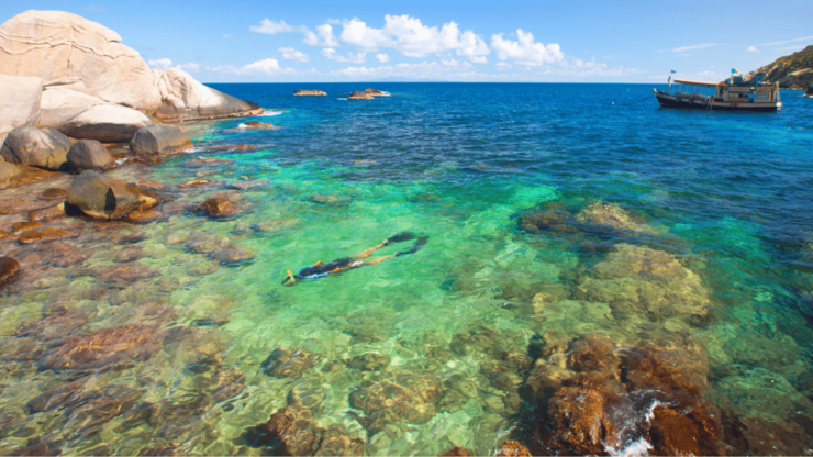 Samui Koh Tao & Koh Nang Yuan One Day Tour By Speed Boat - Key Points