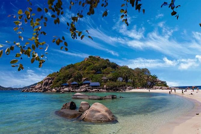 SAMUI: Koh Tao- Koh Nangyaun Island Group by Speed Boat-Lunch - What to Expect on the Tour
