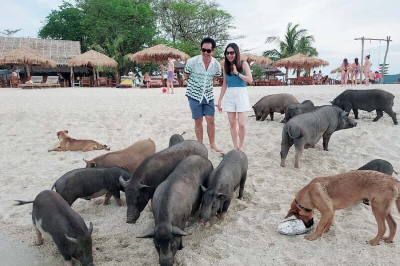 Samui: Pig Island Private Luxury Longtail Boat Tour - The Sum Up