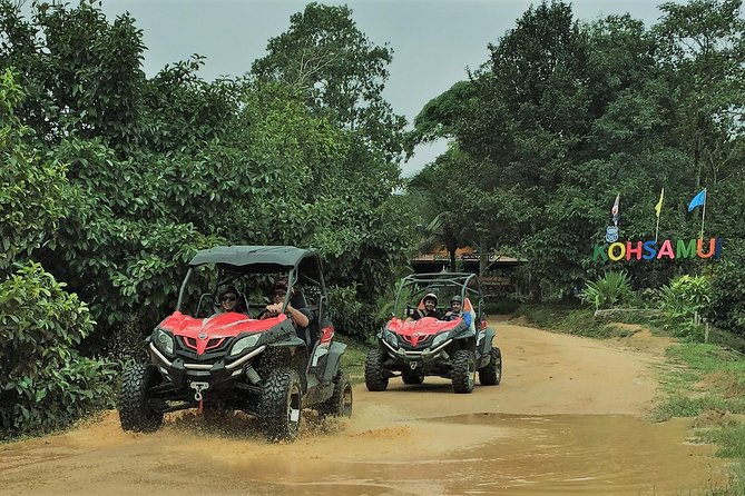 Samui X Quad 4WD Buggy Tour With Lunch - What to Expect on the Tour