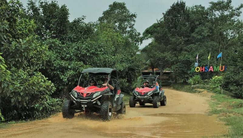 Samui X Quad 4WD Buggy Tour with lunch - An In-Depth Look at the Tour