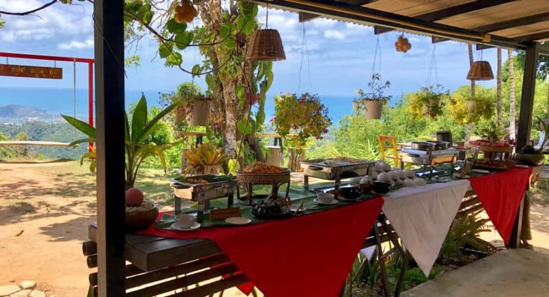 Samui X Quad 4WD Buggy Tour with lunch - Who Should Consider This Tour?