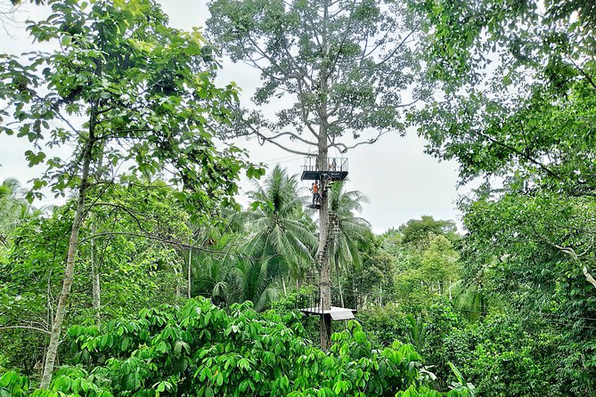 Samui Zipline Explore and Connect With Nature - Whats Included