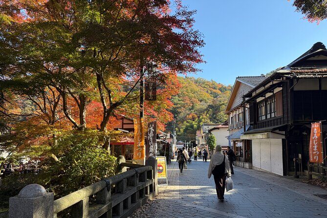 Samurai Guide Shos Mt. Takao Hike, Temple & Onsen from Shinjuku - Final Thoughts