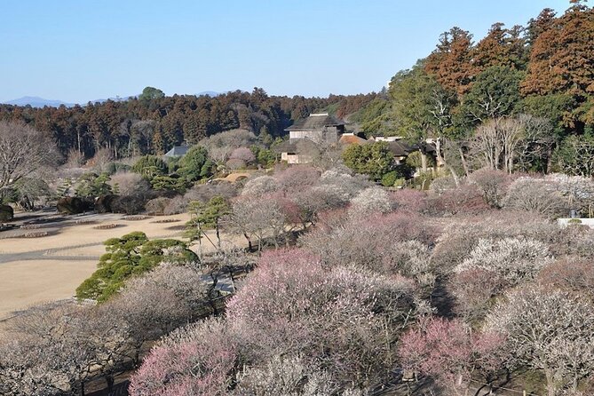 Samurai Private Tour With Umeshu Tasting in Mito - Pricing and Booking