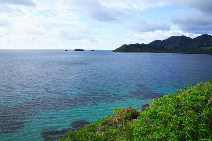San Andrés: Guided Cays and Mangroves Tour - Booking and Logistics