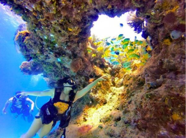 San Andres: SCUBA Diving Experience With Hotel Pickup - Directions