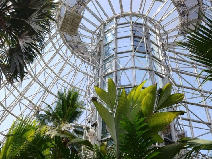 San Antonio: 9-Day CityPASSfor Savings at 4 Top Attractions - Experience