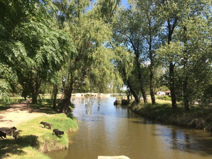 San Antonio De Areco & Lujan Full-Day Tour From Buenos Aires - Multilingual Guides and Pickup Services