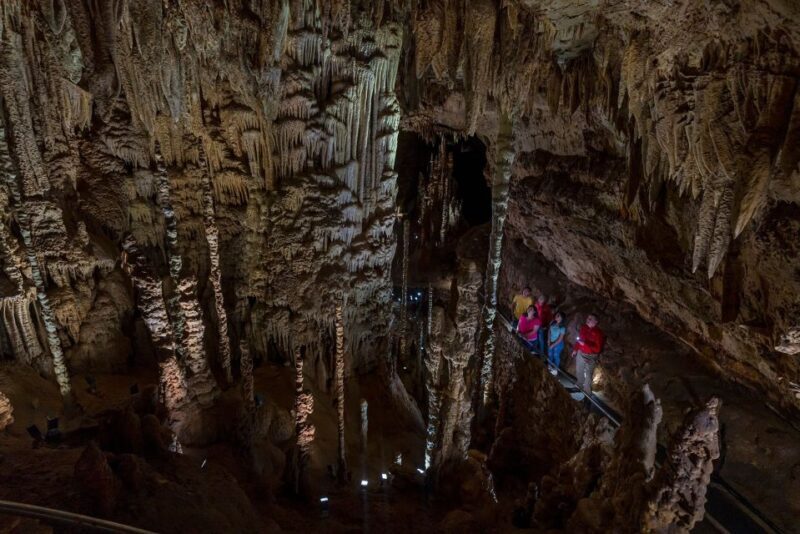 San Antonio: Discovery Tour at Natural Bridge Caverns - Good To Know