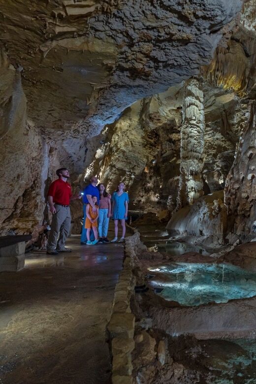 San Antonio: Discovery Tour at Natural Bridge Caverns - The Experience: What to Expect at Natural Bridge Caverns