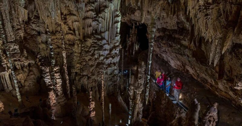 San Antonio: Discovery Tour at Natural Bridge Caverns - Insights from Visitor Reviews