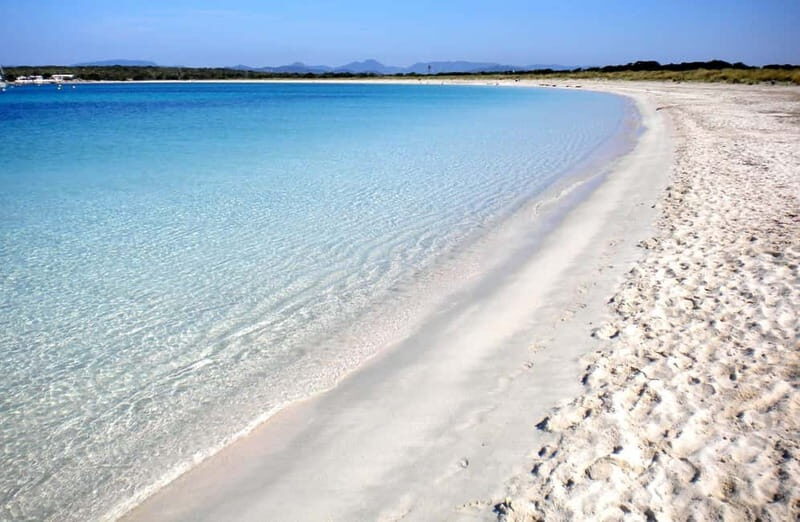 San Antonio: Es Vedrà, Formentera Tour with Food & Drinks - Who Is This Tour Best For?