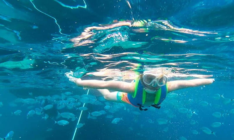 San Antonio: Family Boat Trip to Conillera island - The Sum Up