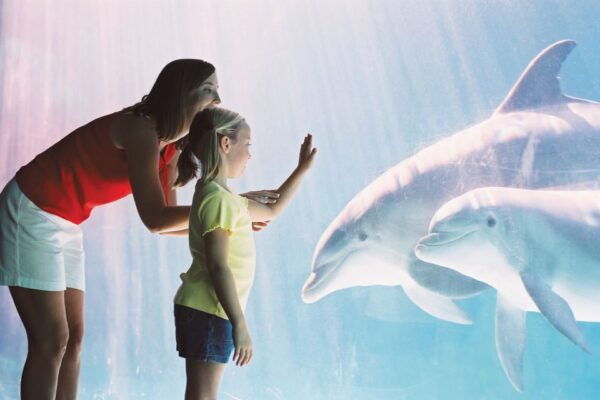 San Antonio: Go City Explorer Pass With 15 Attractions - Pay Nothing at the Gate