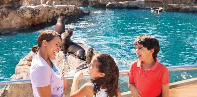 San Antonio: SeaWorld Skip-the-Line Park Admission Ticket - Additional Suggestions or Related Experiences