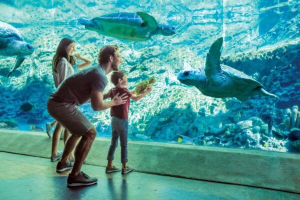 San Antonio: SeaWorld Skip-the-Line Park Admission Ticket - Directions