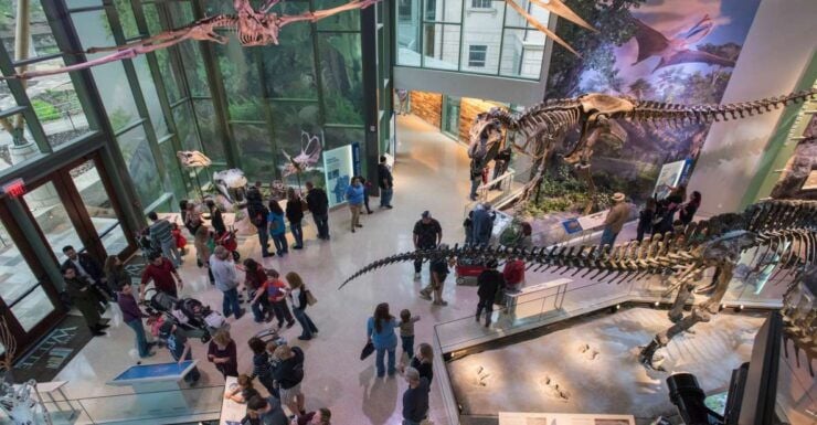 San Antonio: Witte Museum Admission Ticket - Experience Highlights