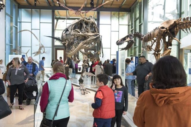 San Antonio: Witte Museum Admission Ticket - Included in Ticket