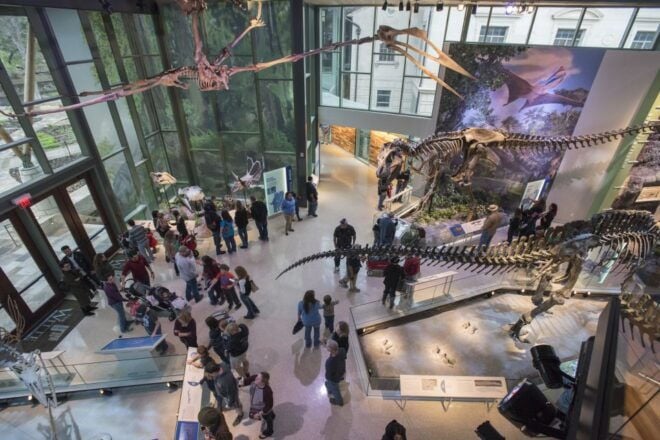 San Antonio: Witte Museum Admission Ticket - The Sum Up