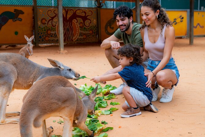 San Antonio Zoo General Admission Ticket - Additional Information and Policies
