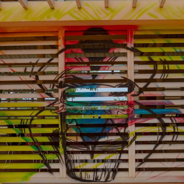 San Basilio De Palenque Day Tour - Tour Details and Logistics