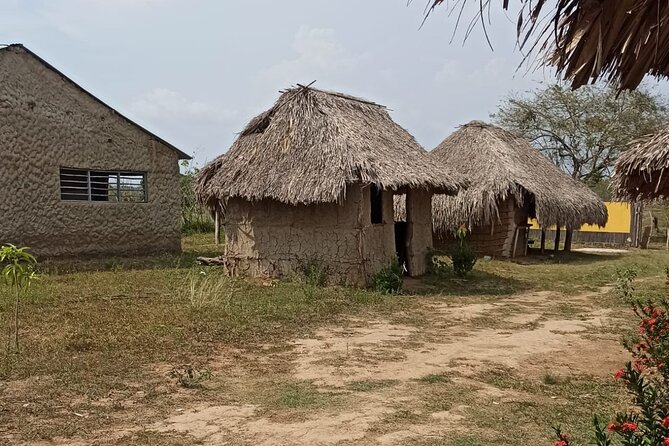 San Basilio De Palenque UNESCO World Heritage Site Daytrip: Africa in America - Cultural Immersion