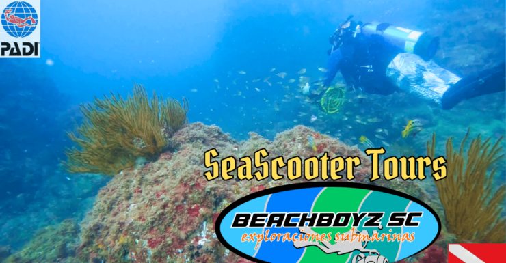 San Carlos Sonora: SeaScooter Tours - Good To Know