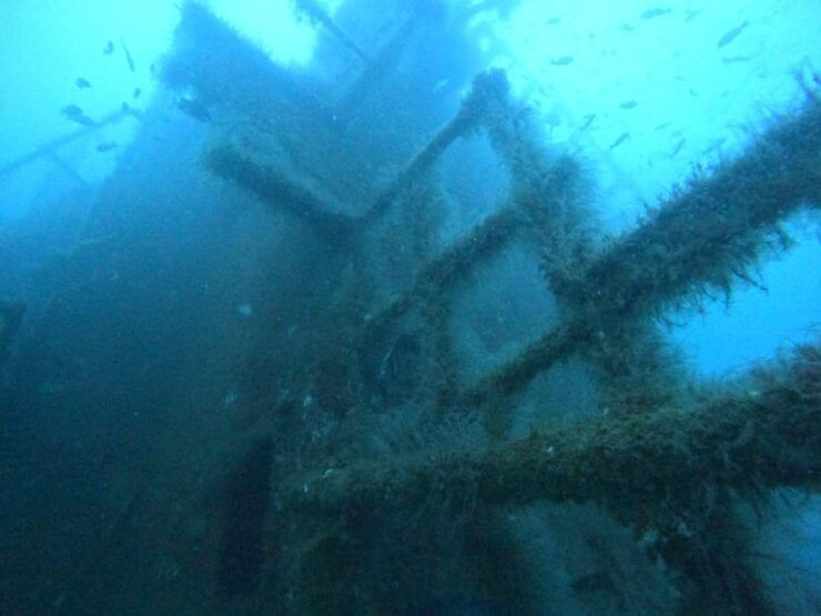 San Carlos Sonora: SeaScooter Tours - Experience Details