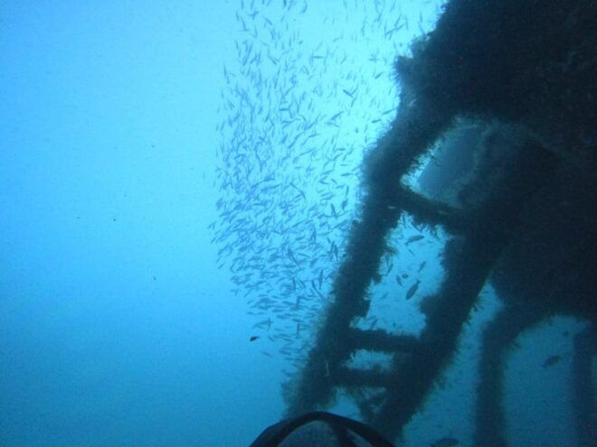 San Carlos Sonora: SeaScooter Tours - Meeting Details