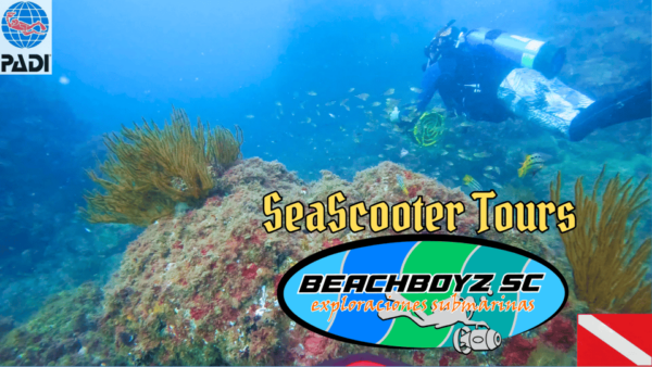 San Carlos Sonora: SeaScooter Tours - Itinerary and Changes
