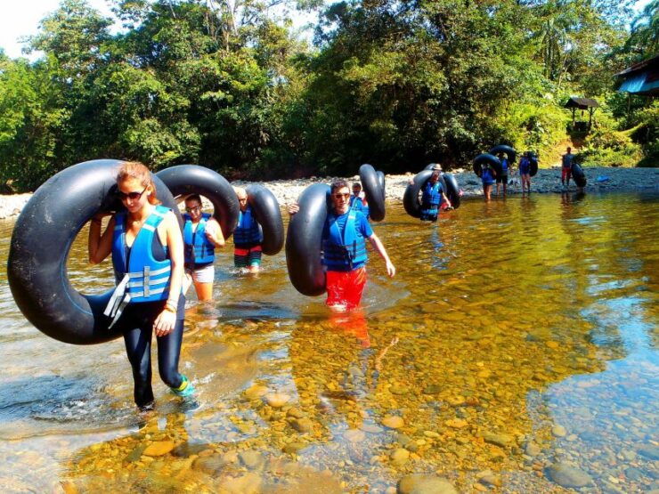 San Cipriano Rainforest Reserve: Amazing Day Trip - Good To Know