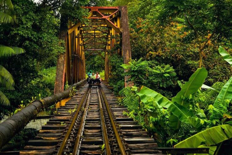 San Cipriano: San Cipriano Natural Reserve Guided Tour - Experience