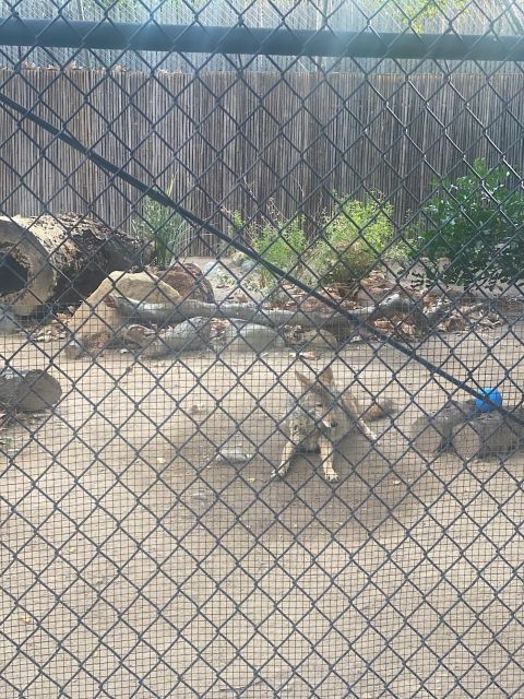 San Clemente Beach & Irvine City Private Tour - Inclusions