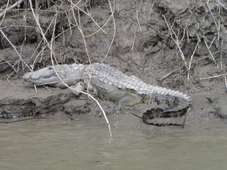 San Cristobal: 2 Days in the Southern Selva Lacandona Tour - Itinerary Highlights