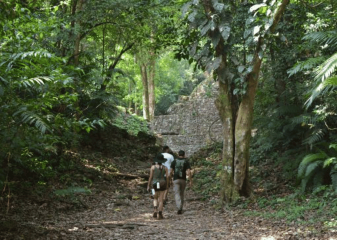 San Cristobal: 3 Days Expedition of North Lacandona Jungle - Included Services