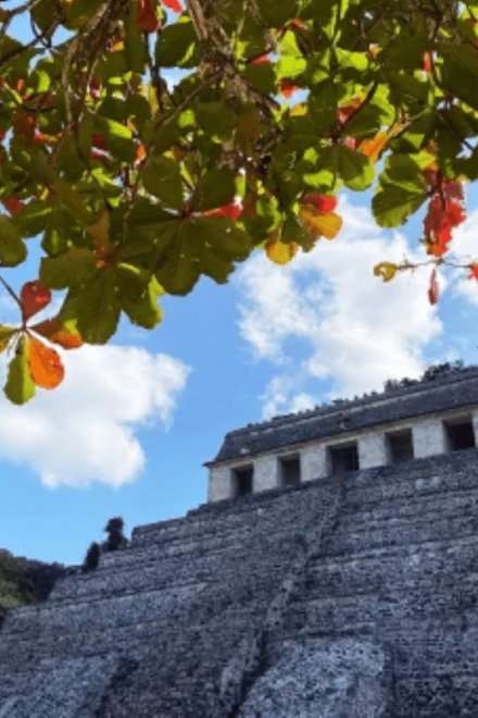 San Cristobal: 3 Days Nature Tour Southern Selva Lacandona - Observe Flora and Fauna