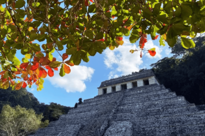 San Cristobal: 3 Days Nature Tour Southern Selva Lacandona - Tour Policies and Cancellation