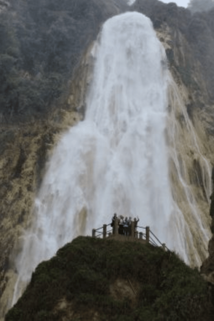 San Cristobal: 4 Days Nature Tour in the Lacandon Jungle - Included Services