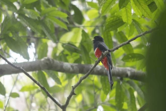 San Cristobal: 4 Days Nature Tour in the Lacandon Jungle - Booking and Availability