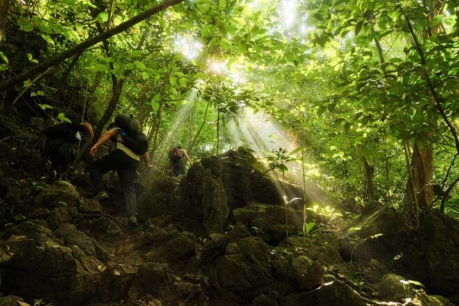 San Cristobal: Arc of Time Chiapas - Adventure Activities