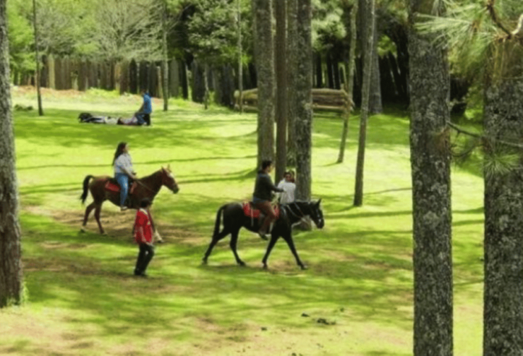 San Cristóbal: Arcotete Ecotourism Park & Rancho Nuevo Caves - Duration and Activities