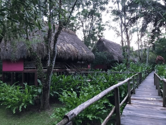 San Cristobal: Coffee Tour in the Mountains of Chiapas - Mid-Morning Activities